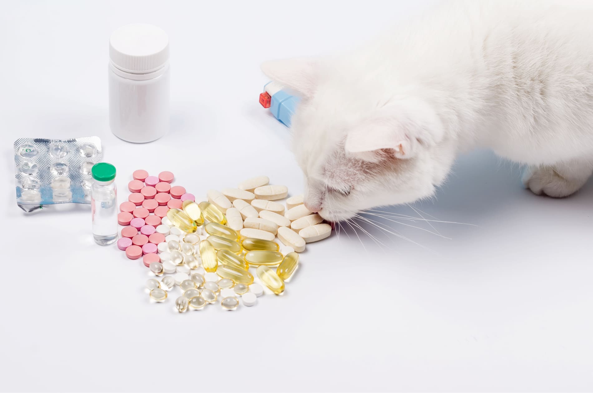 Kuinka pystyn syöttämään kissalleni tabletteja?